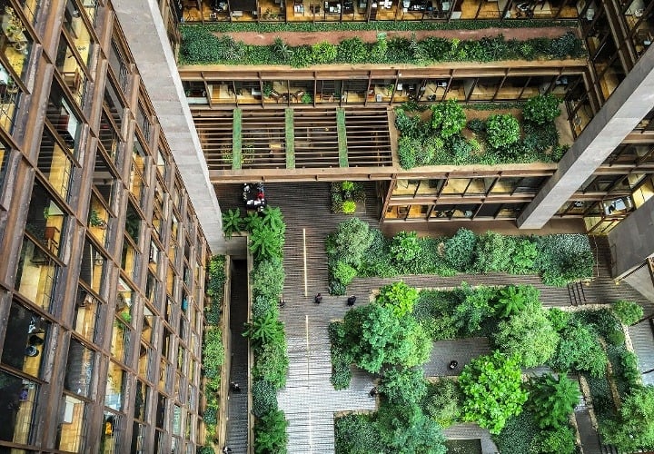 Project Spotlight Ford Foundation Center for Social Justice